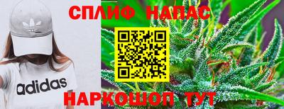 стафф Обнинск