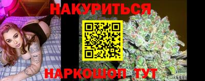 СК Обь
