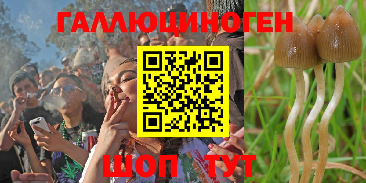 Серов  Галлюциногенные грибы мухоморы  Вход с VPN 