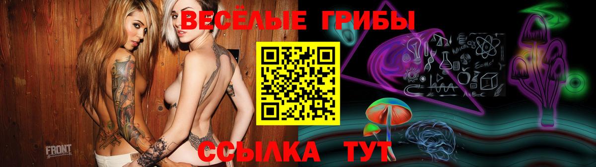 Псилоцибиновые грибы Cubensis Серов
